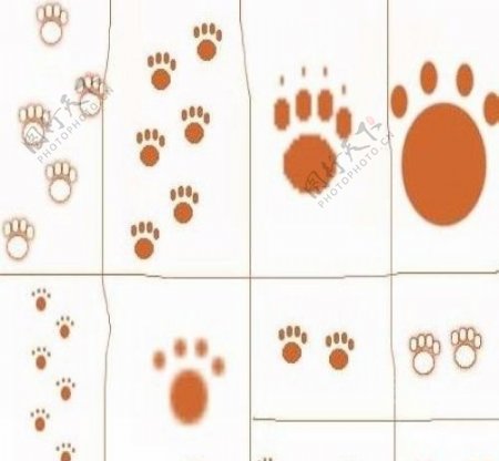 动物脚印图案笔刷