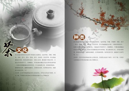 茶文化介绍