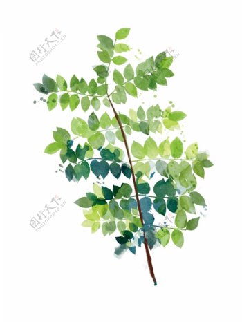 手绘绿色一支树叶彩绘装饰画