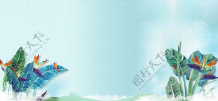 清新蓝色植物banner背景素材