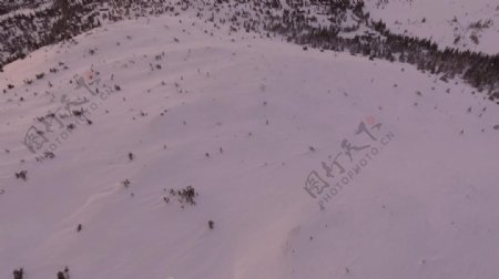 实拍大雪覆盖的森林视频素材