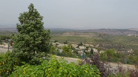 耶路撒冷山风景1