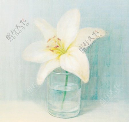 花卉装饰画贴图JPG图片