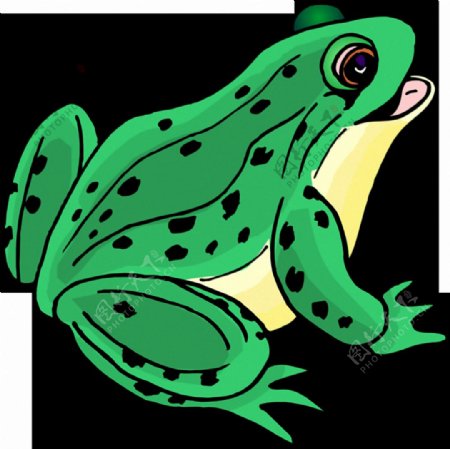 漂亮手绘绿色青蛙免抠png透明素材
