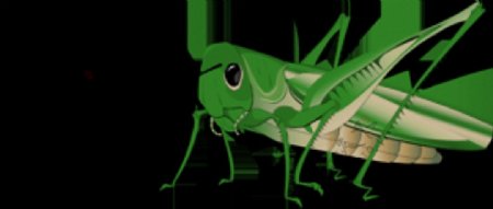 绿色手绘蝗虫免抠png透明素材