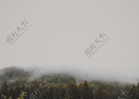 云雾下的高山美景