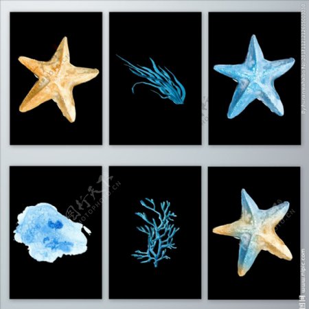 唯美海洋海星珊瑚素材