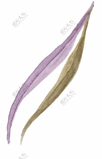 绿紫海草卡通透明素材