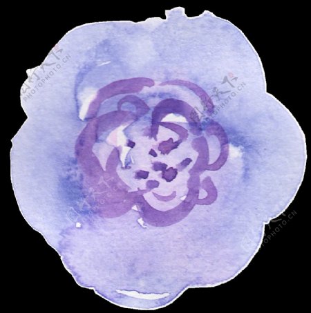 紫果冻花卡通透明素材