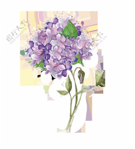紫色优雅花卉卡通透明素材