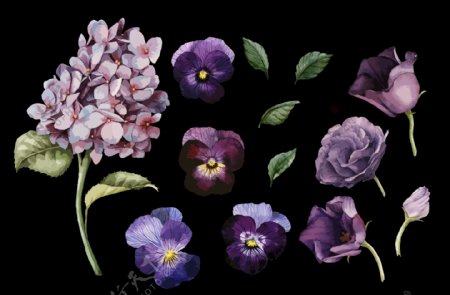 紫色花蕊透明素材