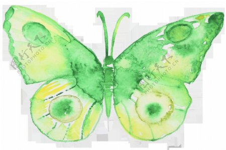 绿斑蝴蝶卡通透明装饰素材