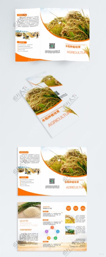 农业水稻种植技术宣传三折页模板