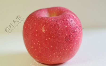 庆阳苹果苹果红富士果真好