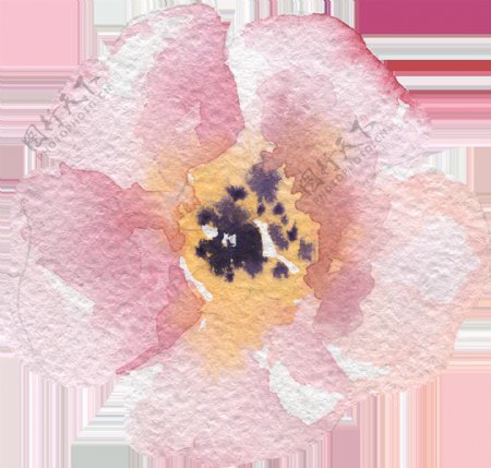 意境粉色花卉卡通水彩透明素材