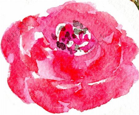 粉色水彩花卉卡通透明素材