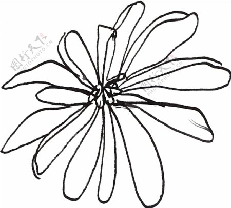 素雅简约花卉卡通透明素材