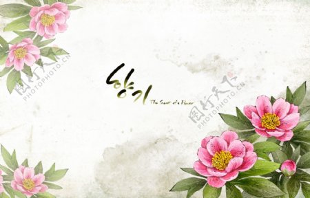 浪漫韩国风花卉装饰背景psd源文件