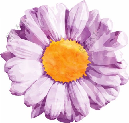 紫花蛋糕卡通水彩透明素材
