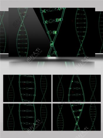 DNA双螺旋体结构视频素材
