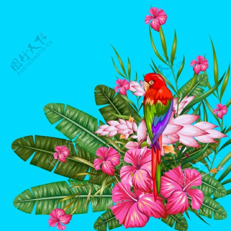 热带花朵和鹦鹉插画
