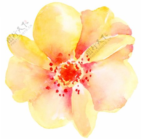 馨香花卉卡通透明素材