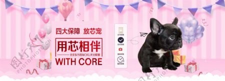 淘宝天猫宠物芯片促销海报