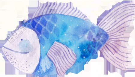 水彩卡通蓝色的鱼png透明素材