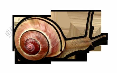 动物蜗牛透明素材
