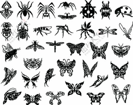 昆虫黑白集合图案