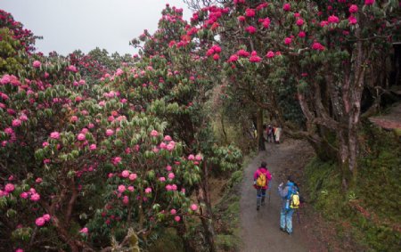 公园美景