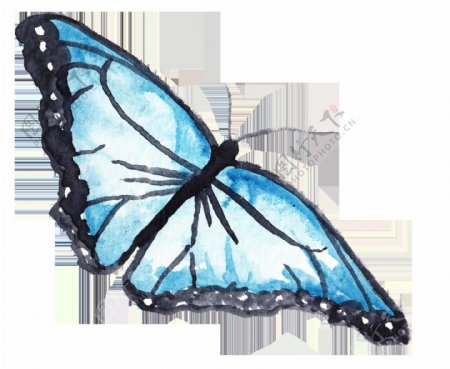 水蓝蝴蝶透明装饰素材
