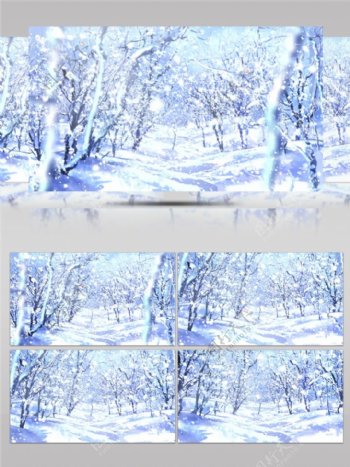 森林雪景高清视频素材
