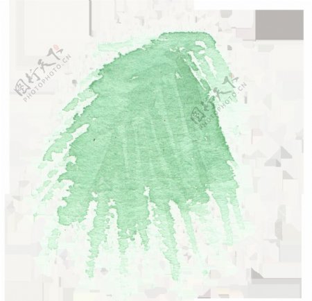 手绘简单的针叶树叶水彩透明素材