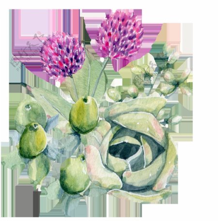 手绘紫色花球植物PNG透明素材