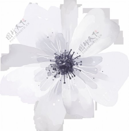 手绘仙气十足透明花卉PNG透明素材