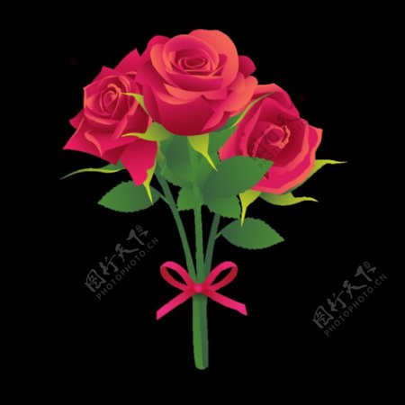 美丽靓丽鲜红色玫瑰花花朵花束实装饰元素