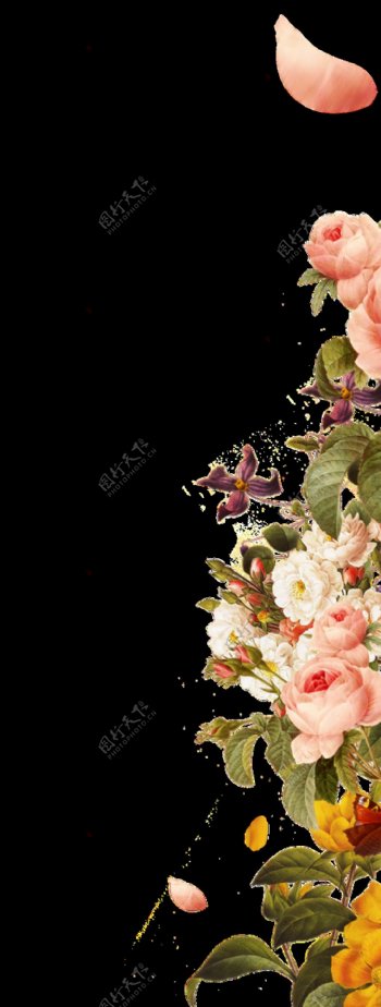 五彩花卉填充图透明装饰素材