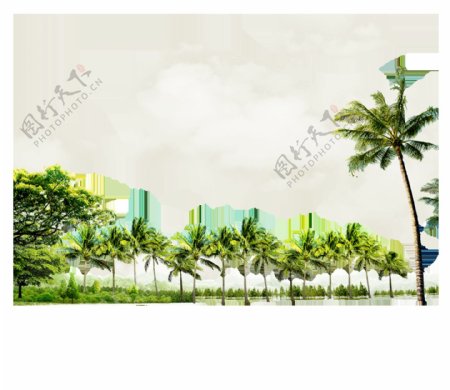 绿色椰子树实景png元素