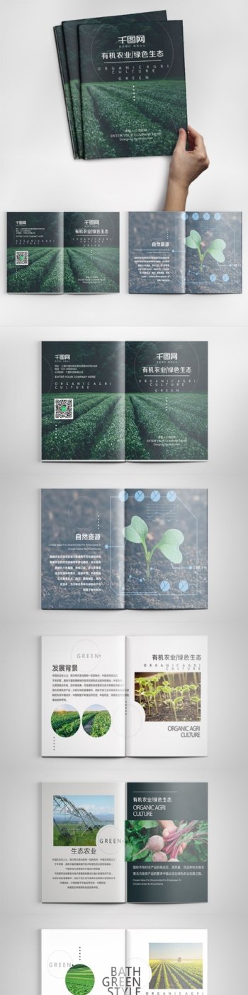 绿色大气农业绿色食品企业画册
