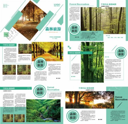 简约时尚青色森林旅游画册设计ai模板