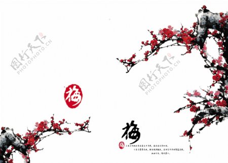 冬季红色梅花广告背景