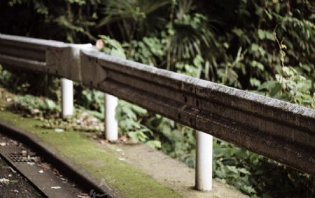 青苔马路护栏