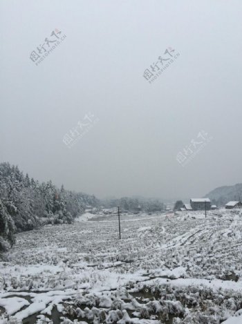 雪中的山村田野