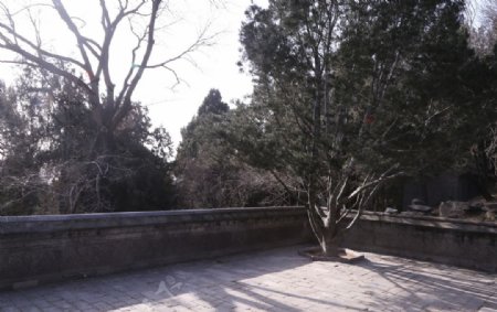冬日颐和园