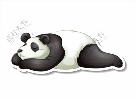 可爱熊猫插画