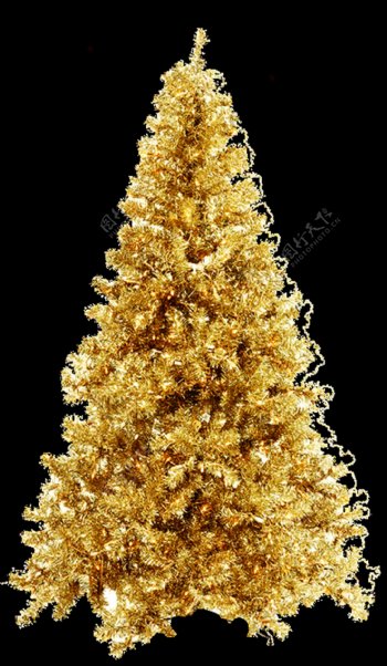 美丽的金色圣诞树透明素材
