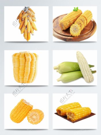 一组玉米实物图案集合