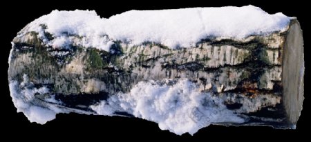 白雪覆盖的树桩png元素