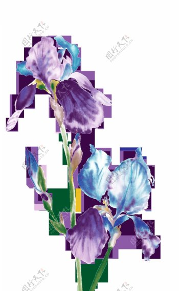 蓝紫色花朵装饰元素图片